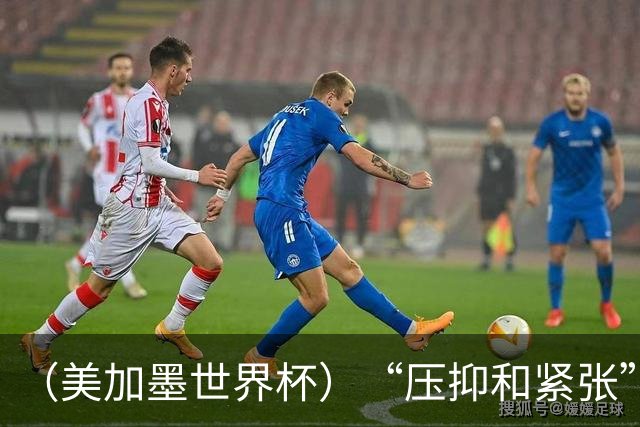 （美加墨世界杯）“压抑和紧张”中的伊朗队首秀